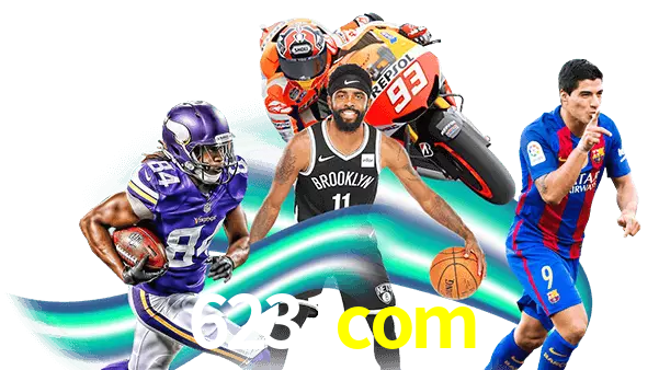 6231com
