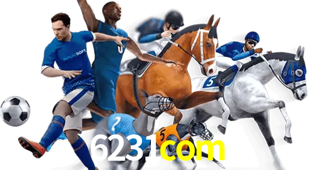 6231com