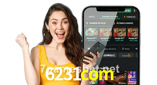 6231com